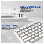 Cosmic Byte Phantom TKL Gasket Keyboard 6