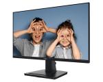 MSI Pro MP251 Computer Monitor 2