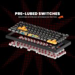 Cosmic Byte Phantom TKL Tri-Mode Gasket Hot Swappable Mechanical Switch Keyboard - Image 3