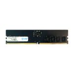 EVM 16GB DDR5 Desktop RAM Memory