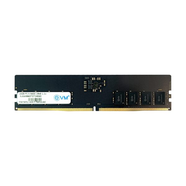 EVM 16GB DDR5 Desktop RAM Memory