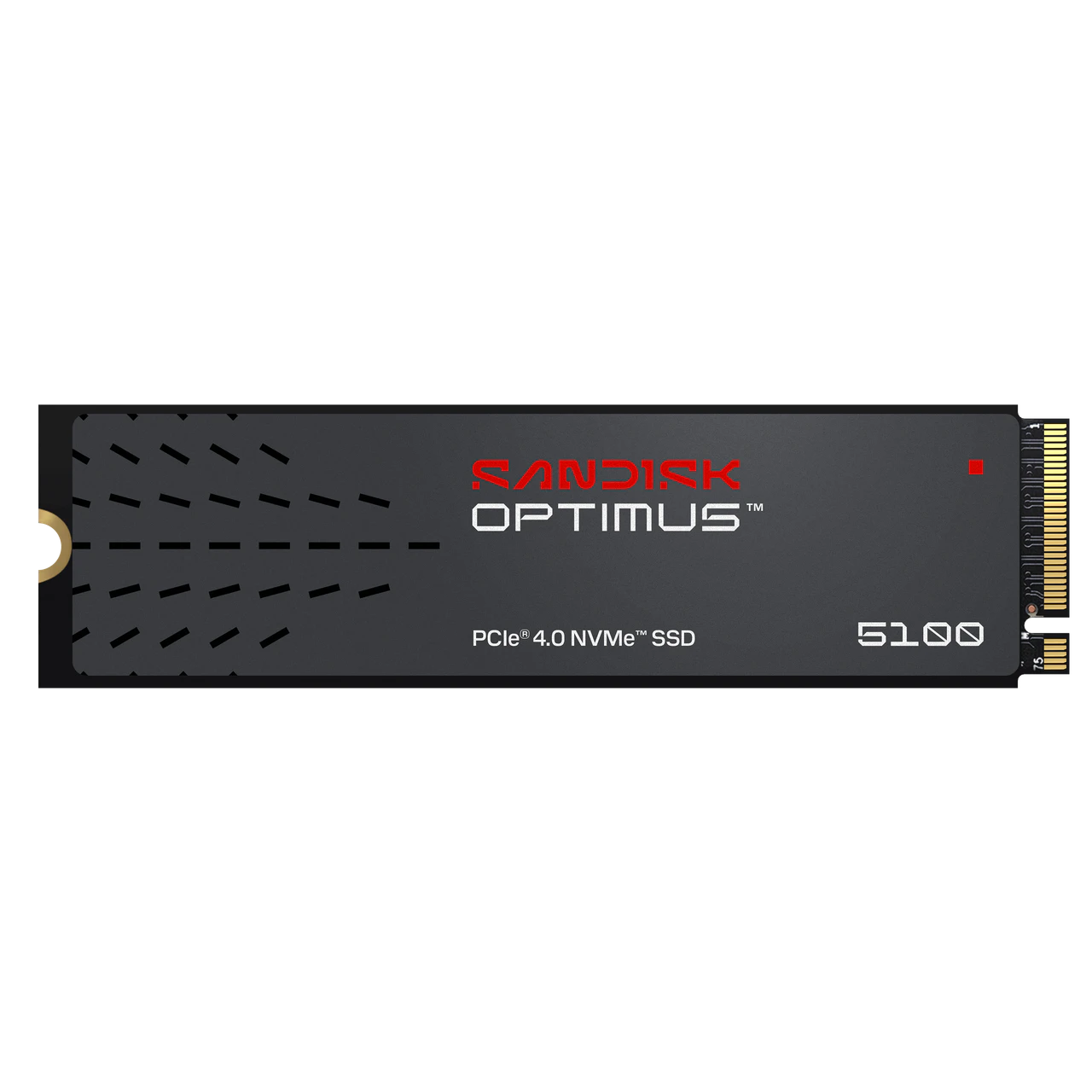 Sandisk Optimus 5100 NVMe SSD Sandisk Optimus 5100 NVMe SSD