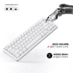 CYBEART | Akula 65 - Compact 65% Wireless RGB Mechanical Keyboard | MKI Pre-Lubed Switches | 4000 mAh Battery | 5-Layer Gasket | Hot-Swappable | Tri-Mode (White) - Image 6