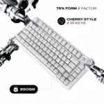 CYBEART | Nighthawk 75 - TKL Wireless RGB Mechanical Keyboard | MKII Pre-Lubed Switches | 4000 mAh Battery | 5-Layer Gasket | Hot-Swappable | Tri-Mode (White) - Image 11