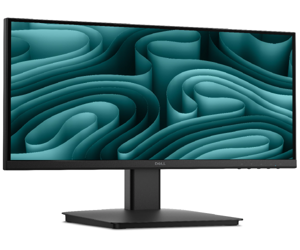 Dell 22 Inch IPS Monitor-SE2226HX