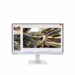Lenovo L22-42 Desktop Monitor