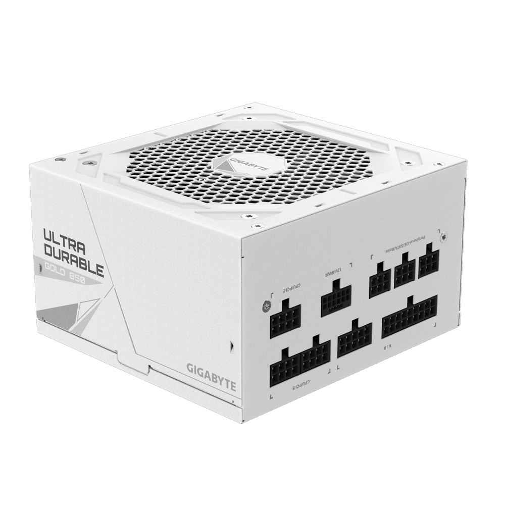 Gigabyte Aorus Elite P1000W White SMPS 3 1